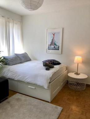 The Paquis Oasis in Central Geneva Geneva